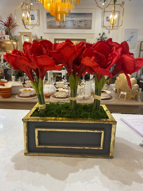 Grey Rectangle vessel with three red amaryllis