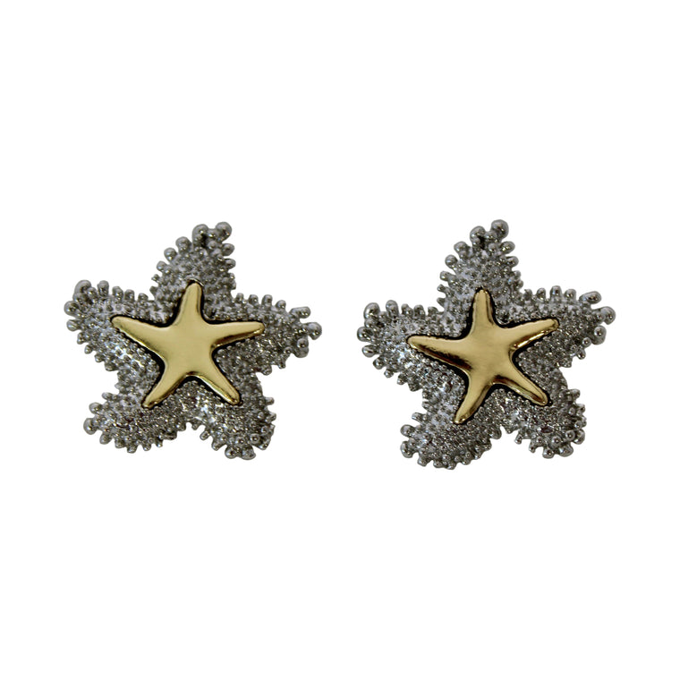 Bumpy Starfish