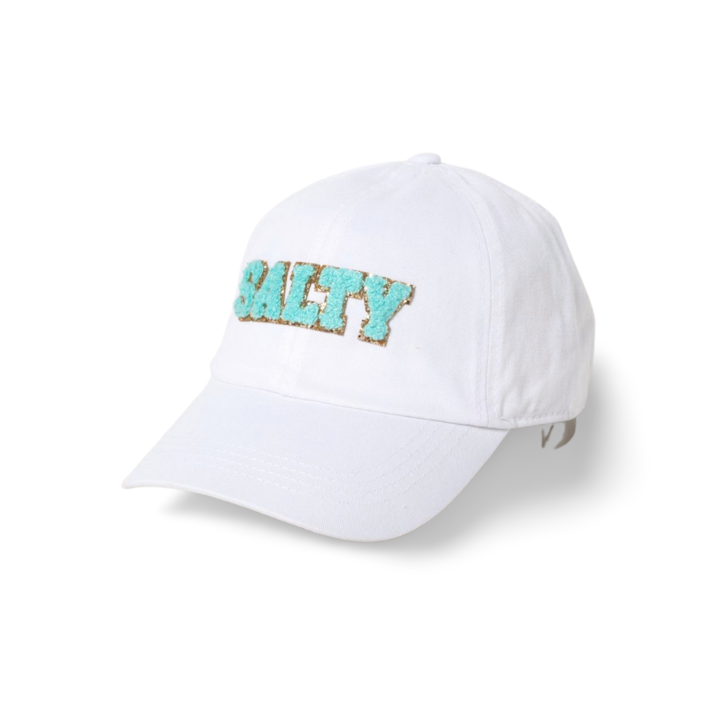 SALTY Chenille Patch Baseball hat